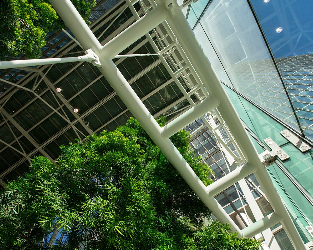 architecture